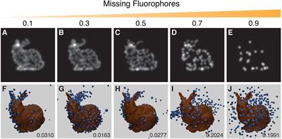 3D Structure From 2D Microscopy Images Using Deep Learning